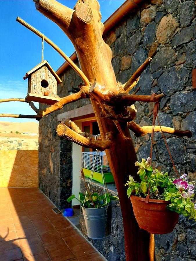 Agriturismo El Bounty1 Puerto del Rosario  Eksteriør billede
